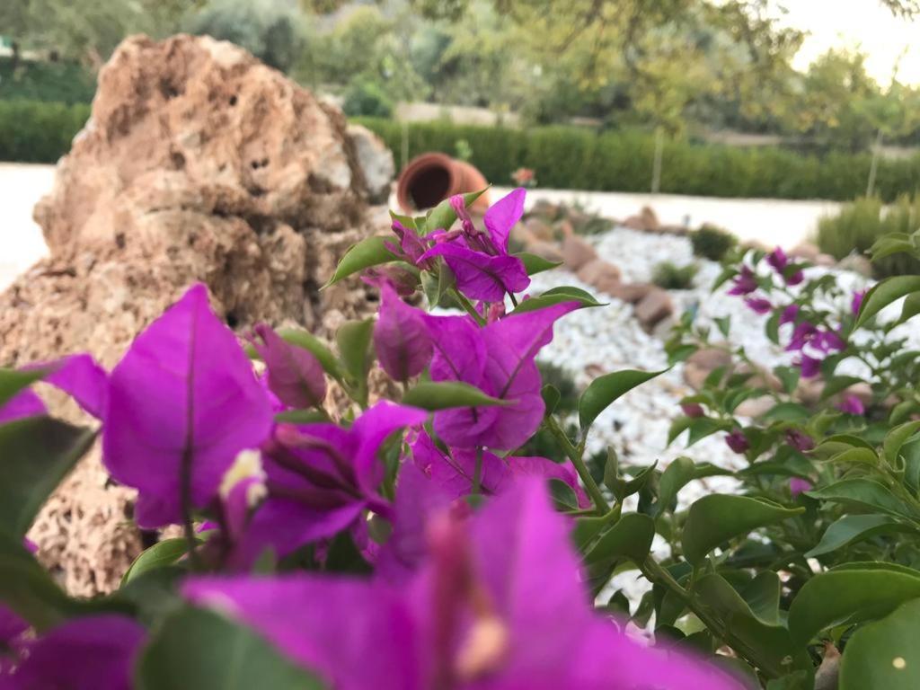 Alojamiento Rural Casa Fuente Del Prado La Iruela Luaran gambar