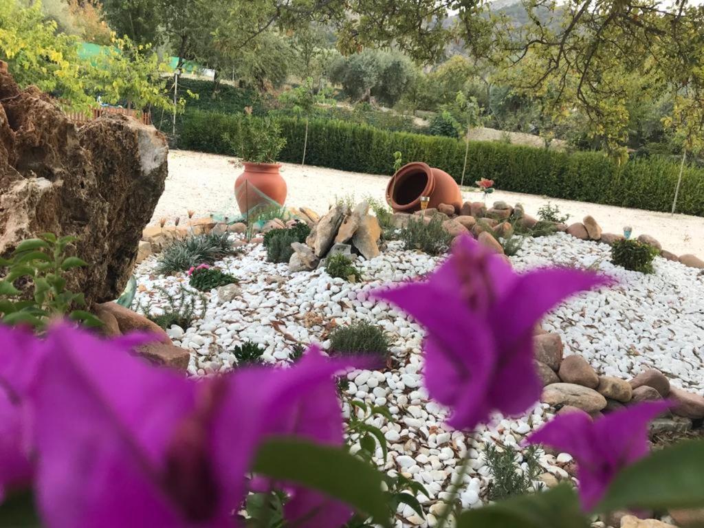 Alojamiento Rural Casa Fuente Del Prado La Iruela Luaran gambar